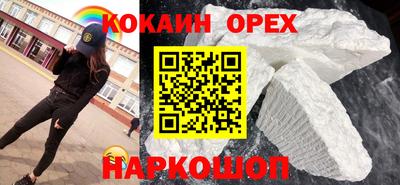 гашик Тулун