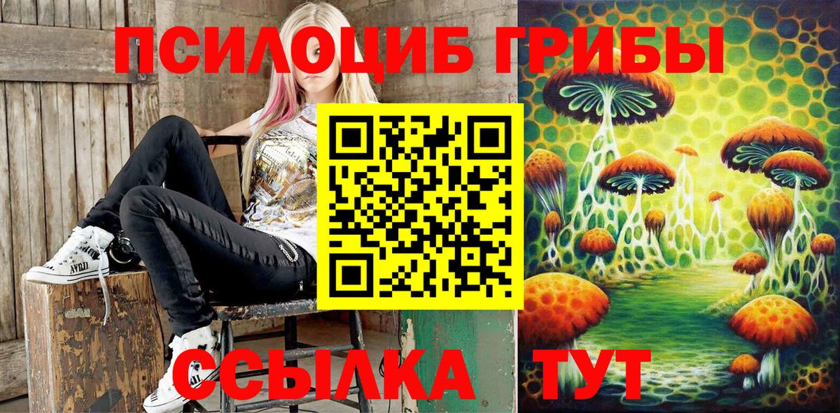 Псилоцибиновые грибы GOLDEN TEACHER Баксан