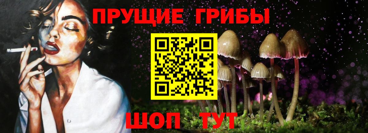 Псилоцибиновые грибы Psilocybe  дарнет шоп  Псилоцибиновые грибы Psilocybe  Баксан  Вход с VPN 